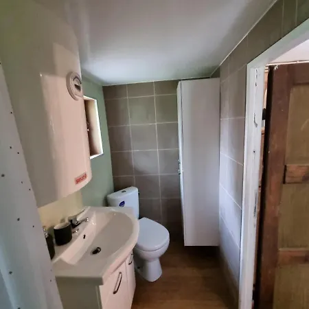 Dom Pod Brzozami Lipinki Bory Tucholskie Basen - Psy, Koty Mile Widziane! Exterior photo