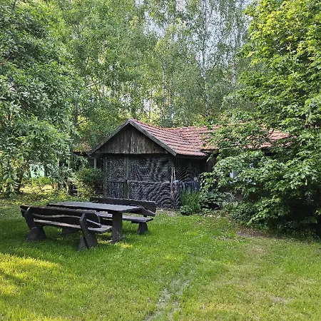 Dom Pod Brzozami Lipinki Bory Tucholskie Basen - Psy, Koty Mile Widziane! Exterior photo