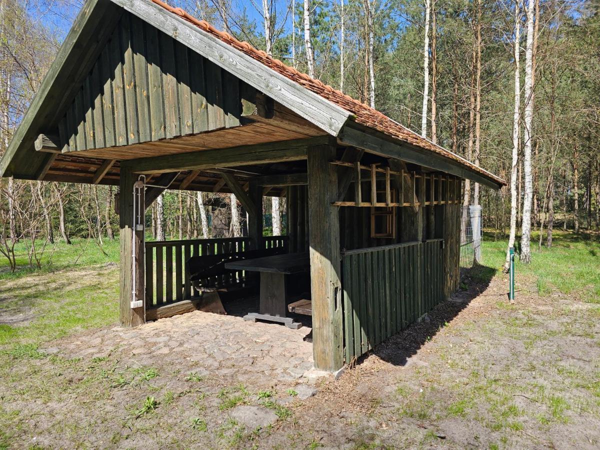 Holiday home Dom Pod Brzozami Lipinki Bory Tucholskie Basen - Psy, Koty Mile Widziane! Lipinki (Swiecie)