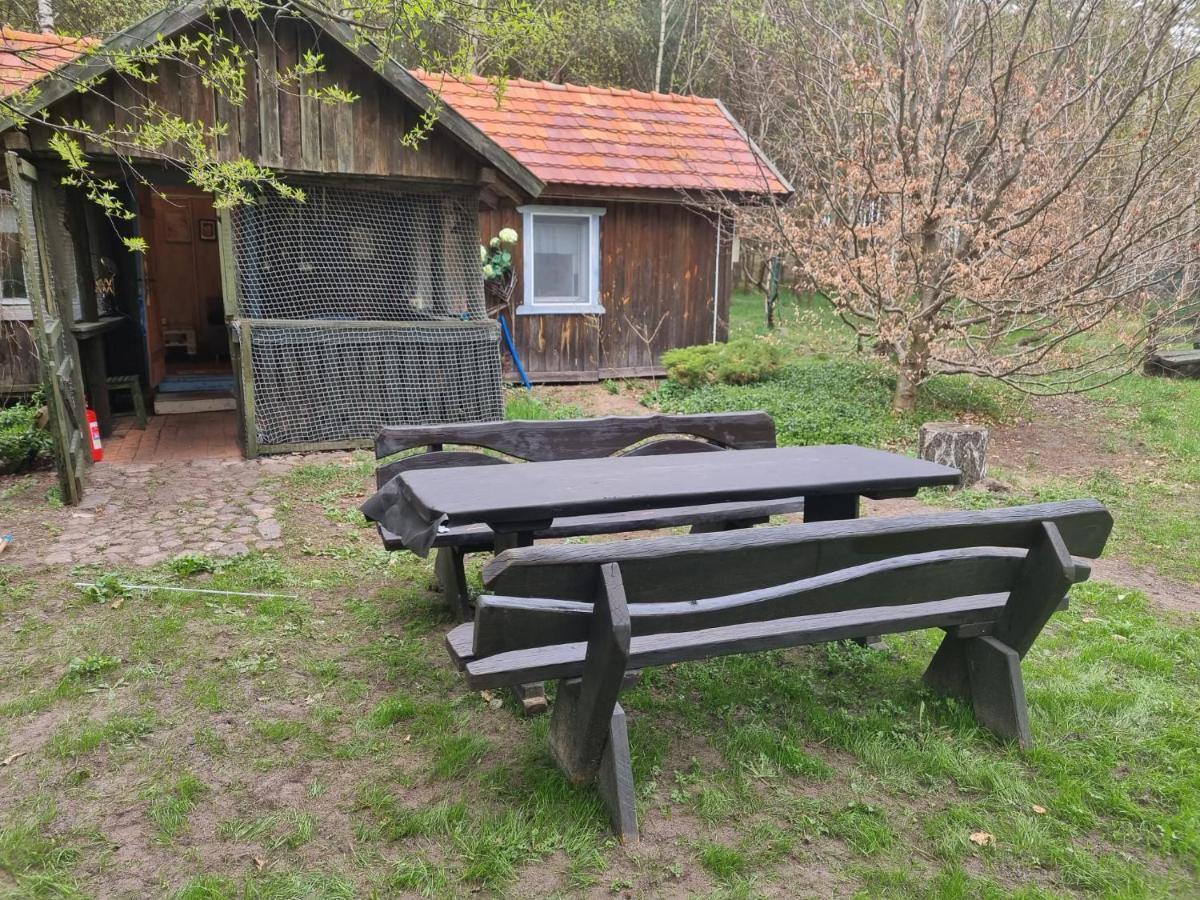 Dom Pod Brzozami Lipinki Bory Tucholskie Basen - Psy, Koty Mile Widziane! Lipinki (Swiecie)