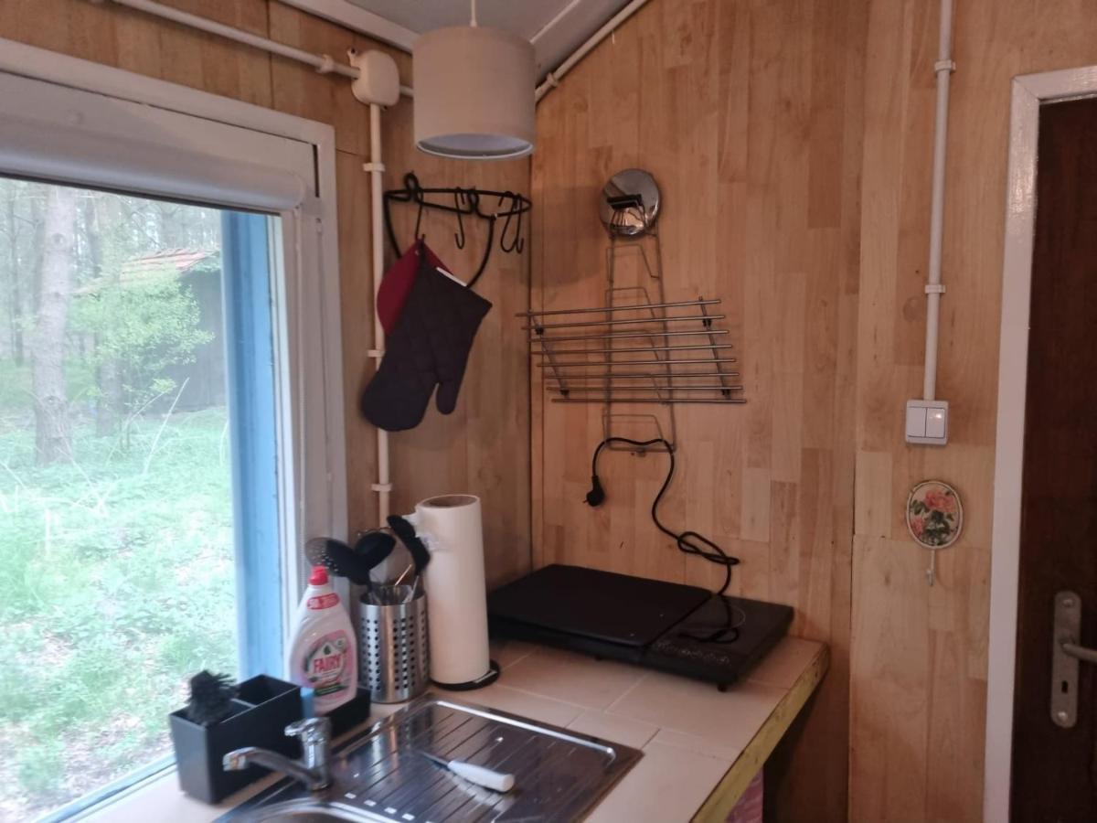 Holiday home Dom Pod Brzozami Lipinki Bory Tucholskie Basen - Psy, Koty Mile Widziane!