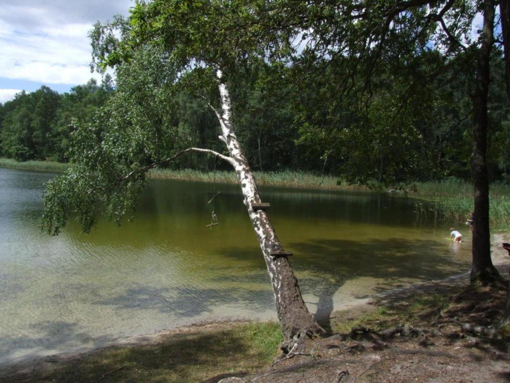 Dom Pod Brzozami Lipinki Bory Tucholskie Basen - Psy, Koty Mile Widziane! Holiday home Lipinki (Swiecie)