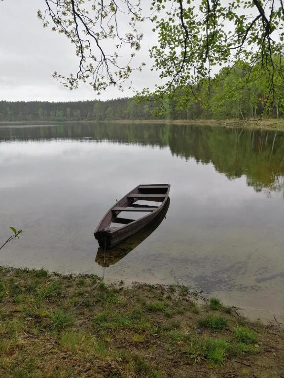 Dom Pod Brzozami Lipinki Bory Tucholskie Basen - Psy, Koty Mile Widziane! Holiday home Lipinki (Swiecie)