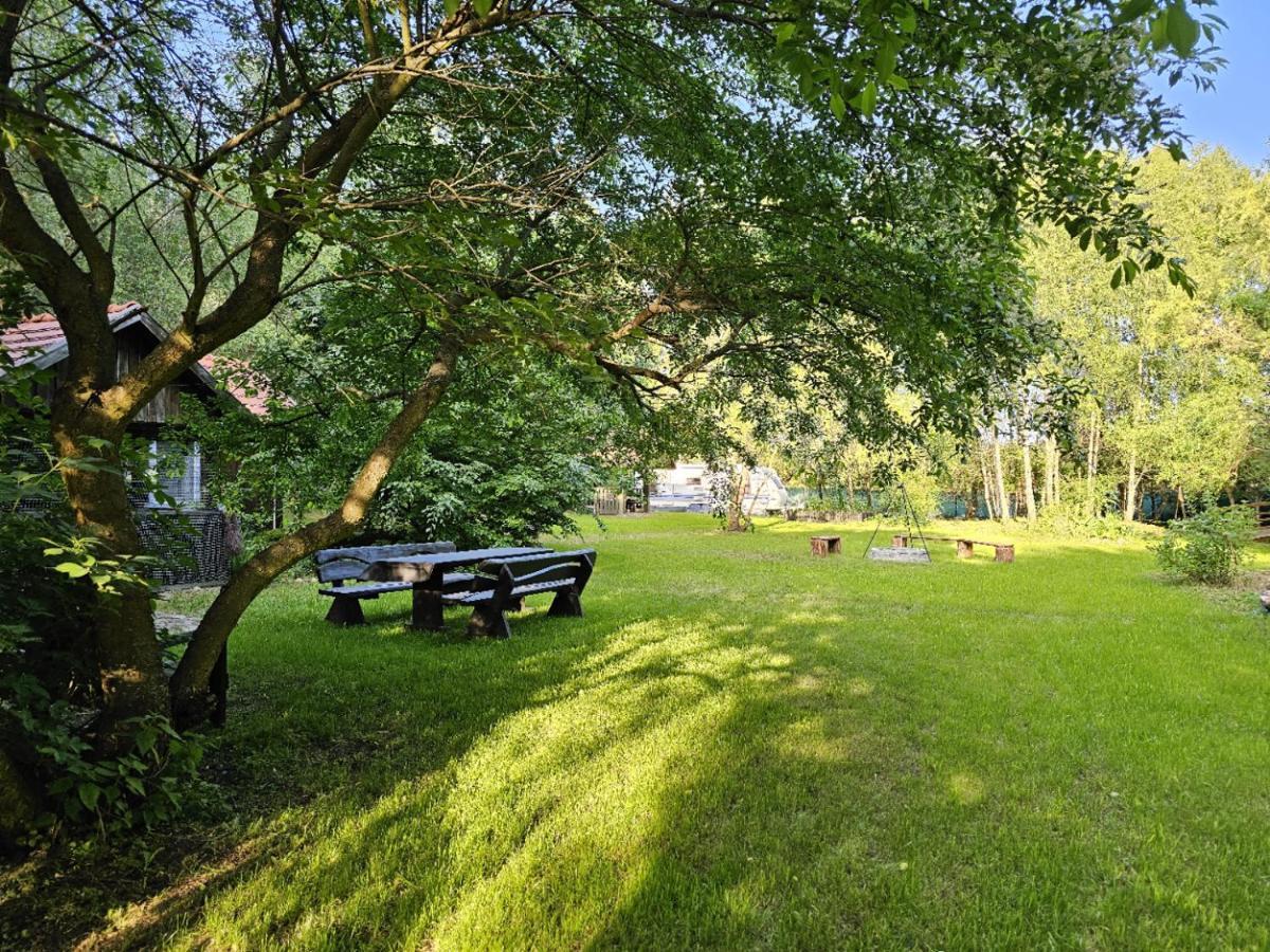 Holiday home Dom Pod Brzozami Lipinki Bory Tucholskie Basen - Psy, Koty Mile Widziane! *